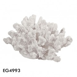 adorno coral white 21x19x12