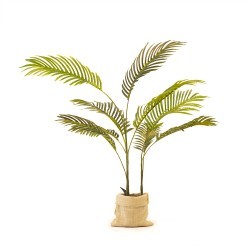 areca palm s 80cm