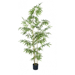 bamboo l 180 cm