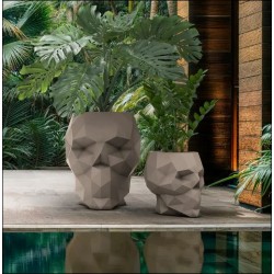 planter nano skull