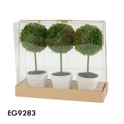 topiary in gift box 28x10x24