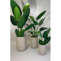 maceta wave beige setx3