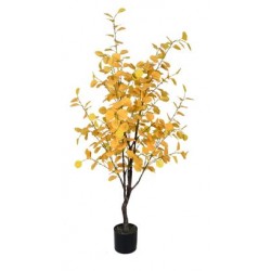 eucalipto 150 cm amarillo
