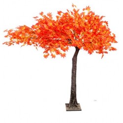 arbol maple 200cm