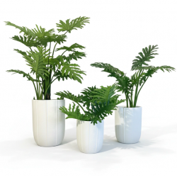 maceta water blanca setx3